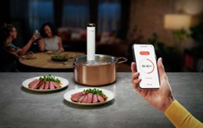 Breville the Joule Turbo Sous Vide White BSV600PSS1BNA1 - Best Buy