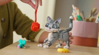 LEGO Creator 3 in 1 Playful Cat Building Toy with 3 Building