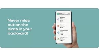 Bird Buddy App Advertisement Video video 0 minutes 07 seconds