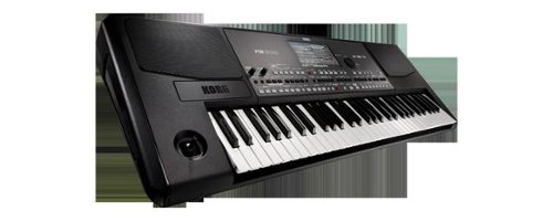 Korg PA600 61 Key Professional Arranger Keyboard PA600 - Best Buy