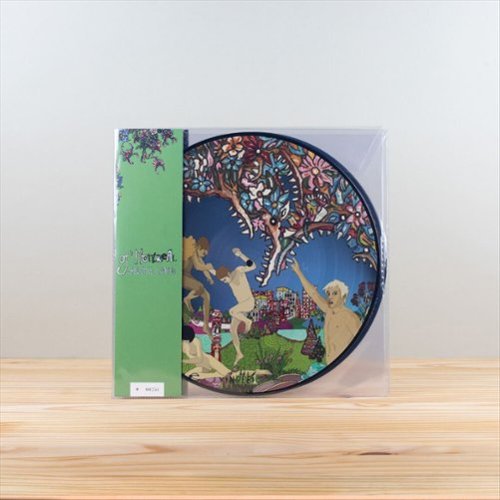 

Skeletal Lamping [LP] - VINYL