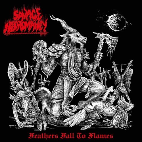  Feathers Fall to Flames [LP] - VINYL INTERNATIONAL SHIPPING