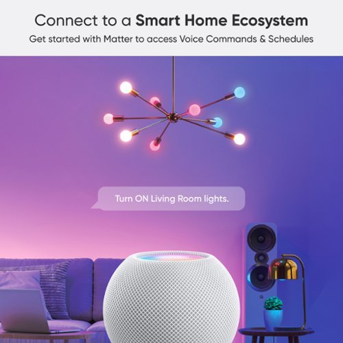 Nanoleaf  Matter A19 Smart LED Light Bulb - WiFi & Matter-Enabled (2 Pack) - Multicolor HOW TO BUY