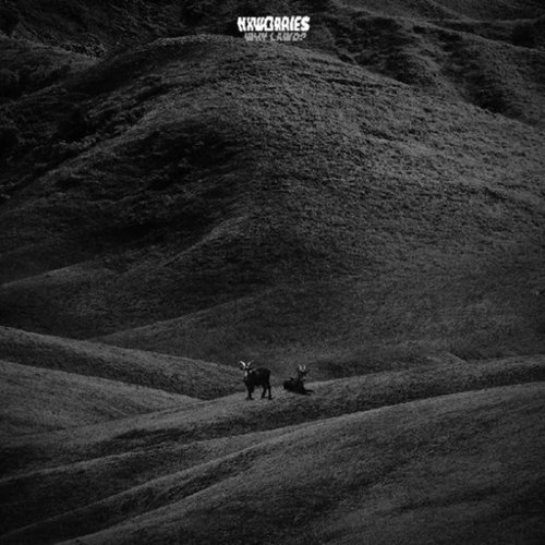 NxWorries - Why Lawd?   - VINYL LP