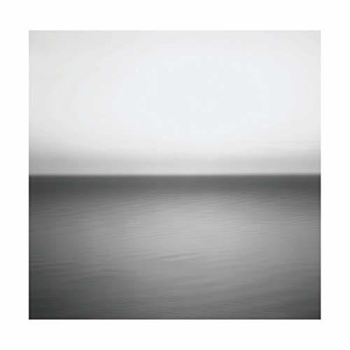  U2 - No Line On The Horizon - VINYL LP