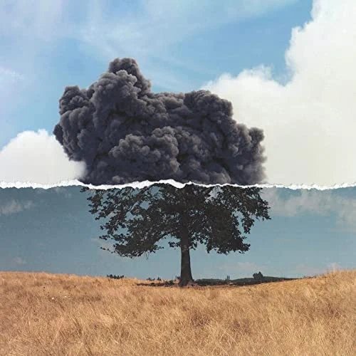 

Cognition [LP] - VINYL