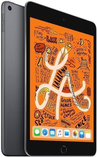 iPad mini 5 256GB Cellular スペースグレイ 本体のみ Apple Refurbished Excellent 7.9 Inch iPad Mini (5th Generation