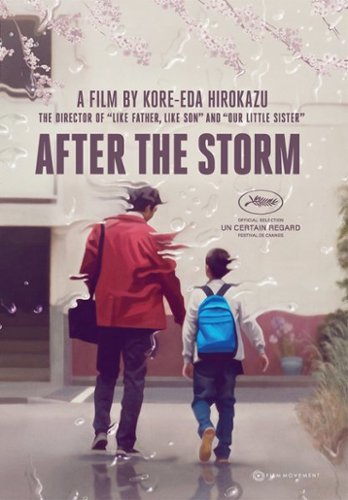  After the Storm [Blu-ray] [2016]