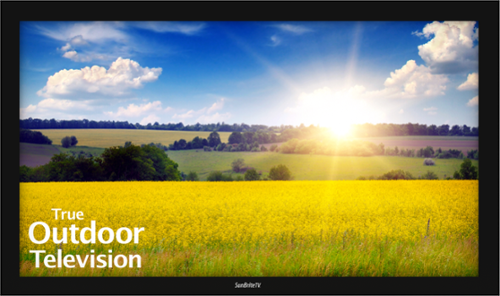 SunBriteTV - Pro 2 Series 43 inch HD Outdoor TV Full Sun (2022)-Front_Standard 