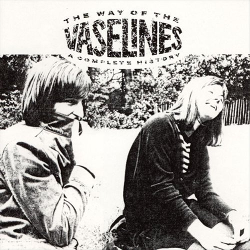 

The Way of the Vaselines: A Complete History [LP] - VINYL