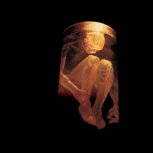  Nothing Safe: Best of the Box [CD]