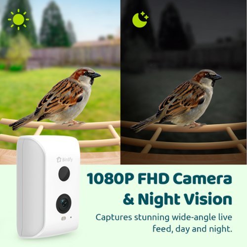BIRDFY Birdfy Smart Bird Feeder with Camera, Bird Watching Camera with Solar Panel, AI Identify 6000+ Species - Ebony WORLDWIDE DELIVERY