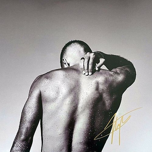 Something to Feel [LP] [VINYL]