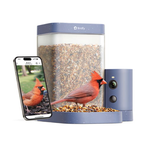 BIRDFY - Smart Bird Feeder Rookie, 1080P HD, 60FPS High-Frame Video for Slow-Motion, 7-Day Free AI Trial, Night Vision - Blue-Front_Standard 