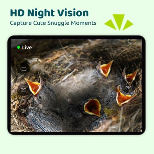 BIRDFY Smart Bird House, Solar Powered, 1080P HD Live View Bird House w/ Camera, Perfect Viewing Bird Nesting and Hatching - Ebony GLOBAL SHIPPING