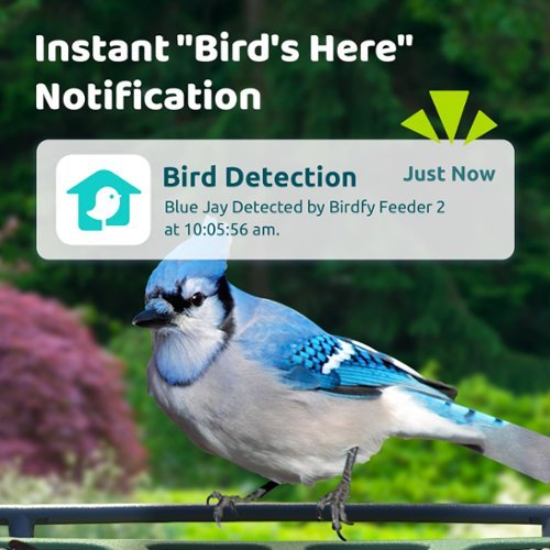 BIRDFY 2 Smart Bird Feeder with Camera, AI Bird Recognition, Weatherproof, Eco-Friendly Design - Green WORLDWIDE DELIVERY