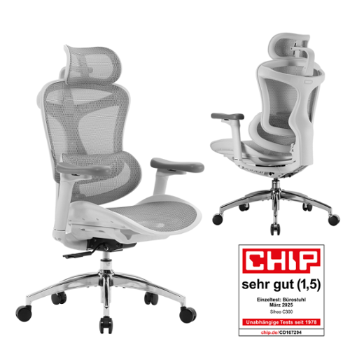 SIHOO - C300 Ergonomic Office Chair with Soft 3D Armrests, Dynamic Lumbar Support, Adjustable Backrest - Gray-Front_Standard 