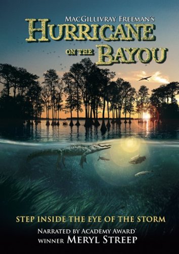 

Hurricane on the Bayou [2006]