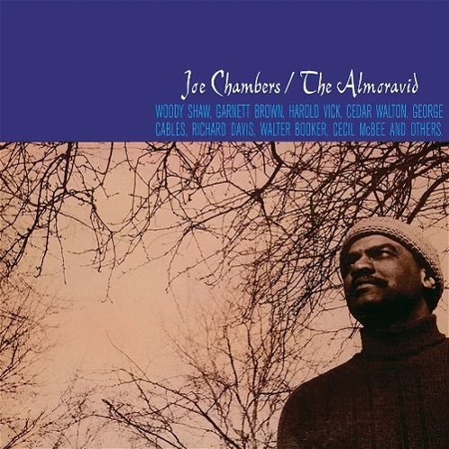 

The Almoravid [LP] - VINYL