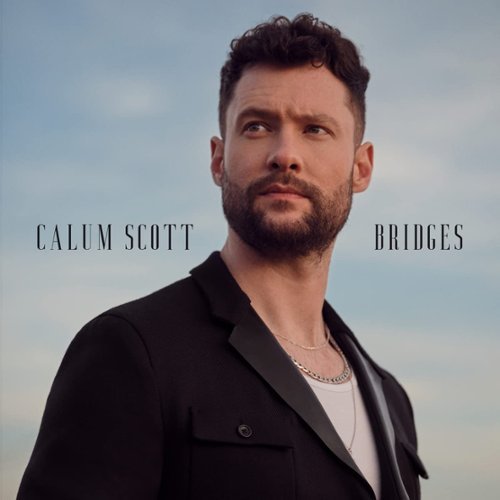 

Bridges [LP] - VINYL