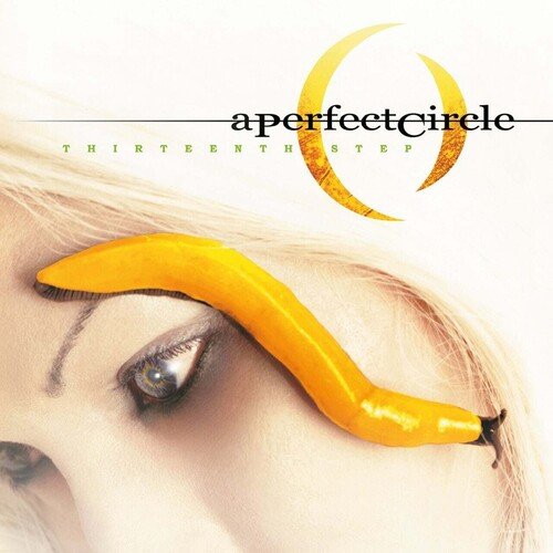  A Perfect Circle - Thirteenth Step - VINYL LP