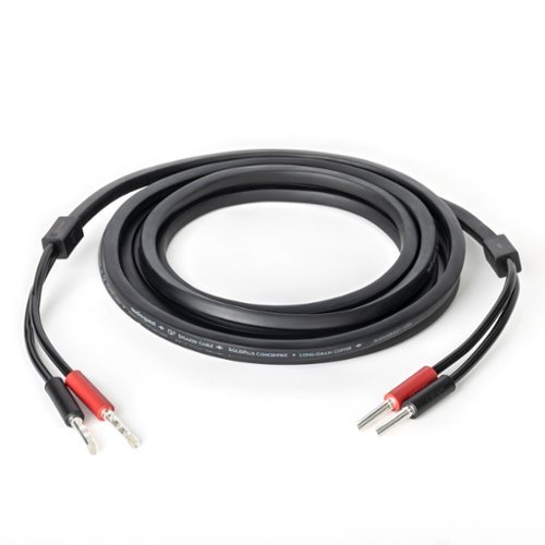 AudioQuest Q2 10' Full-Range Speaker Cable with SureGrip 100 Banana > Banana Connectors - Pair - Black WHERE TO BUY