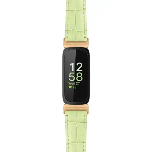 Light Green (Rose Gold Hardware)