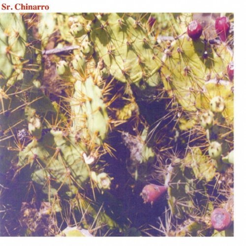 

Sr. Chinarro [LP] - VINYL