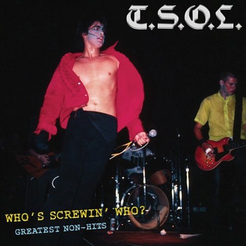 Who's Screwing Who 12: Greatest Non-Hits [LP] [VINYL]