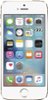 Apple - iPhone® 5s 16GB - Gold (AT&T)-Front_Standard 