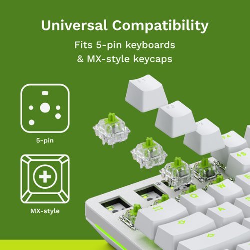 Glorious Lubed Mechanical Keyboard 5-pin Hot Swappable Switches (36x) - Clicky - Raptor WHERE TO BUY