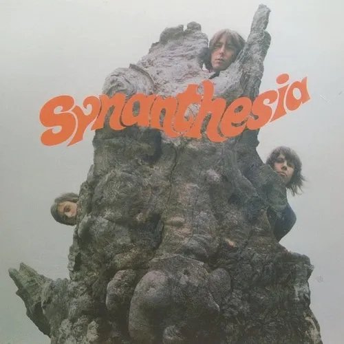 

Synanthesia [LP] - VINYL