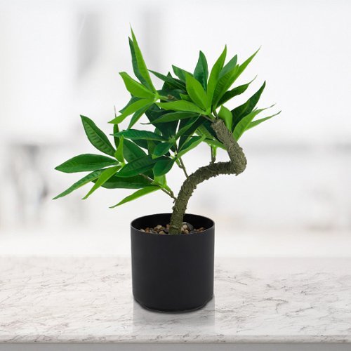 Oumilen - Artificial Tree, Artificial Fortune Tree, Twisted Trunk, Realistic Lush Leaves, Home Office Restaurant Plant-Front_Standard 
