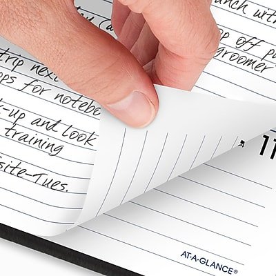 AT-A-GLANCE DayMinder 2023 Weekly Planner