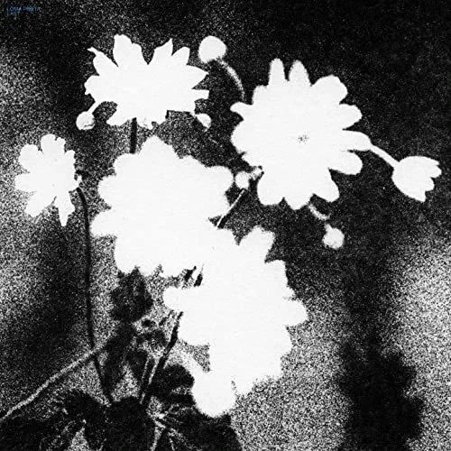 

Last [LP] - VINYL