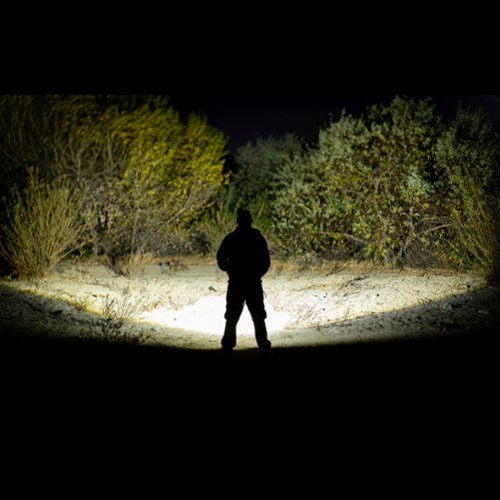 Police Security  Skylar R Flashlight - Black WORLDWIDE DELIVERY