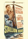 

Stallion Road [1947]