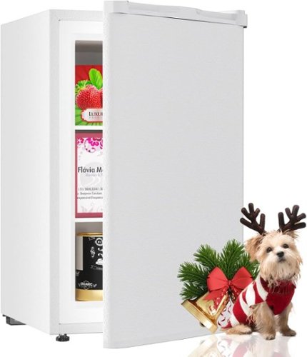 Circus Cirle - 3.6 Cu Ft Upright Freezer, Freestanding Mini Freezer  - White-Front_Standard 