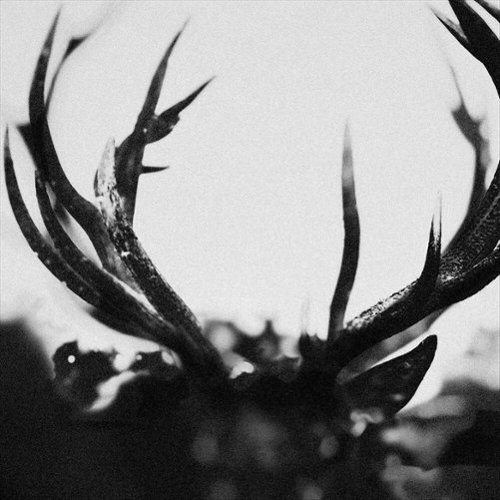

Ihsahn [LP] - VINYL