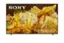 SONY Full Array LED