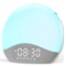 Ecozy - Sunrise Alarm Clock, White Noise Sound Machine, Upgraded Backlit Buttons for Bedrooms, 26 Soothing Sounds - Gray-Front_Standard