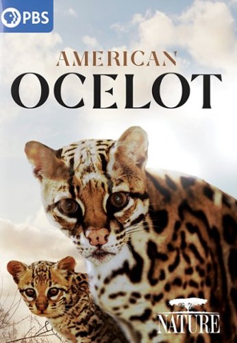 

Nature: American Ocelot