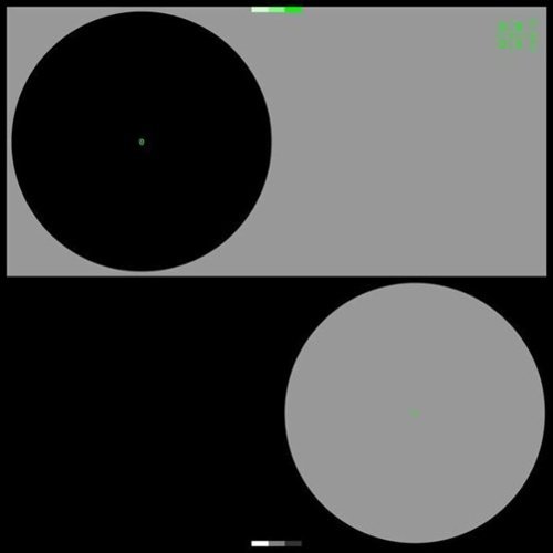 Order in Chaos [12 inch Vinyl Single]