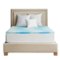 Sealy - 1.5" Chill Gel Memory Foam Queen Topper - Blue-Front_Standard