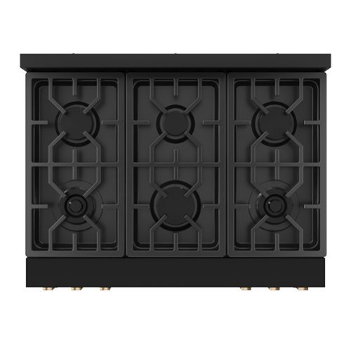 ごーどん Gordon Ramsay Series by Thor Kitchen 6.0 Cu. Ft Freestanding Gas