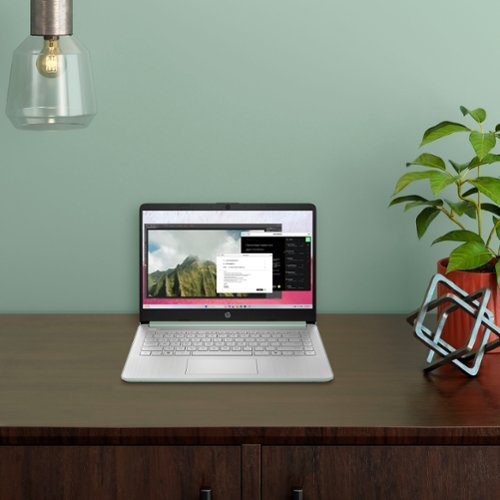 HP 14 Laptop - Intel Processor N150 - 4GB Memory - 128GB UFS - Willow Green BUY IN SAUDI ARABIA