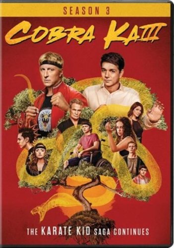  Cobra Kai: Season 3 - DVD