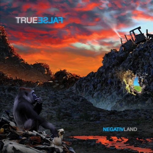  True False [LP] - VINYL INTERNATIONAL SHIPPING