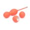 We-Vibe - Bloom Vibrating Kegel Set with App - Coral-Front_Standard