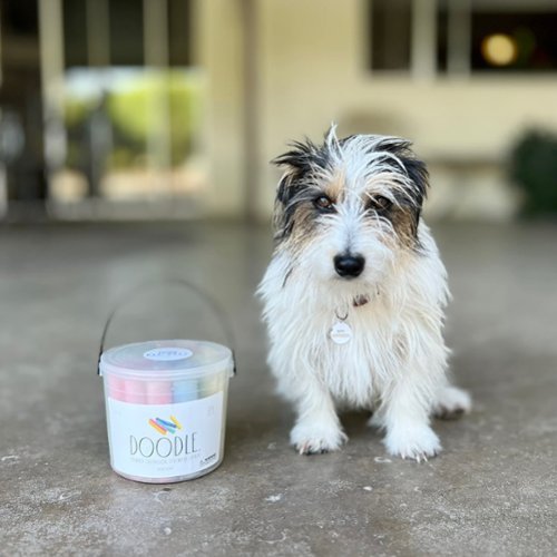 Salus Brands, LLC CocoNut Outdoor: Rae Dunn Draw. Doodle. Jumbo Sidewalk Chalk 2 Pack - 40 Pcs, Non-Toxic, Washable Colors GLOBAL SHIPPING